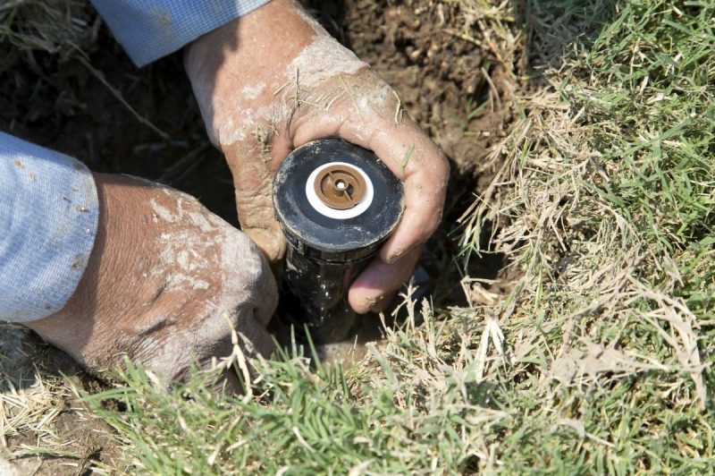 Sprinkler Head